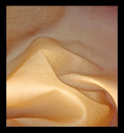 AbstractIAUGUSTFS